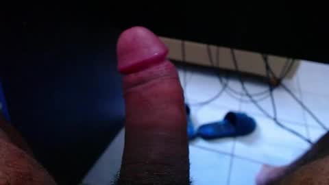 wellingtont online show from 03.22.26