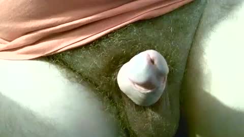 welshstuds online show from 09.30.25