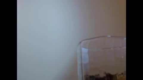 Snapshot of wenndy_ardent chatting on 05.29.26 TaTis online show from 05.29.26