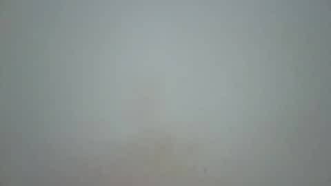 Snapshot of wet_pussieyy chatting on 11.10.25 wet_pussieyy online show from 11.10.25