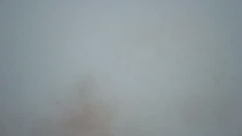 Snapshot of wet_pussieyy chatting on 02.17.26 wet_pussieyy online show from 02.17.26