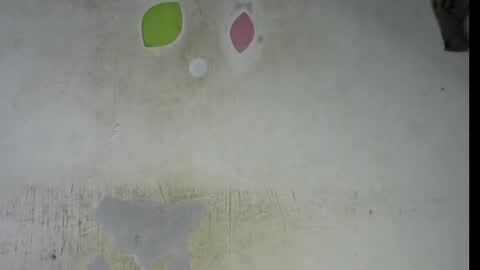 Snapshot of wet_pussy200 chatting on 02.06.26 Bella online show from 02.06.26