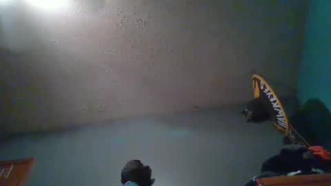 Snapshot of wetduck77777 chatting on 10.05.25 wetduck77777 online show from 10.05.25