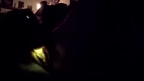 wetpixiepuss online show from 10.27.25