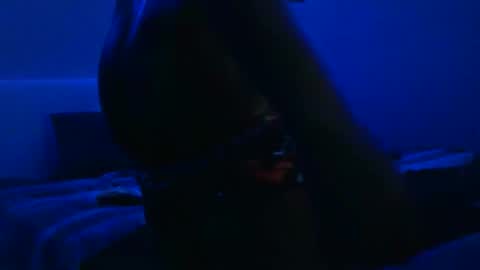 Snapshot of wetwildbigdick305 chatting on 02.03.25 wetwildbigdick305 online show from 02.03.25
