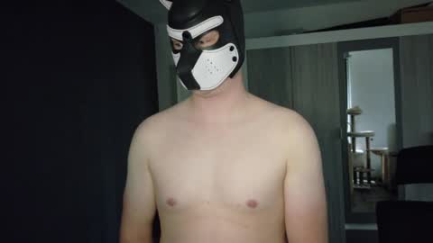 Snapshot of white_pup chatting on 05.04.26 white_pup online show from 05.04.26