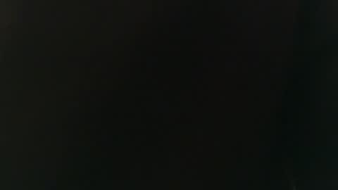 Snapshot of whiteduke81 chatting on 01.04.25 Whiteduke online show from 01.04.25