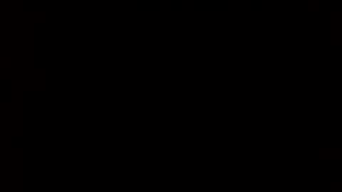 whitehead_lion online show from 02.24.25