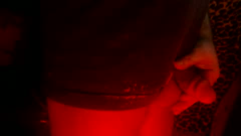 whor4mor online show from 02.24.25