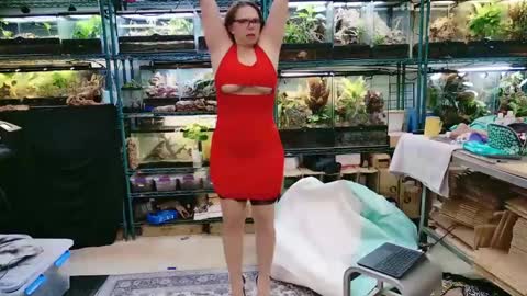 WifeNheels online show from 04.26.26