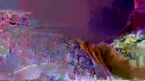 wild lemont online show from 09.29.25