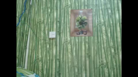 Snapshot of wild_pamela chatting on 12.08.24 loving trans Pamela online show from 12.08.24