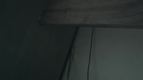 Snapshot of wildbrdick chatting on 04.16.26 wildbrdick online show from 04.16.26