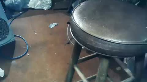 wildman6 online show from 10.11.25