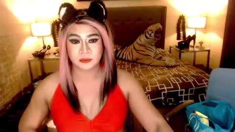 wildtransjhade online show from 01.06.25