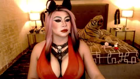 wildtransjhade online show from 01.18.25