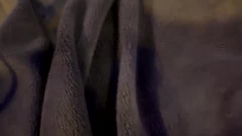 wiley0520 online show from 01.15.26