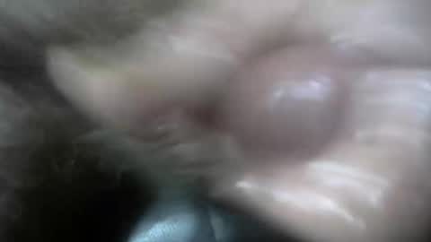 willcam22 online show from 10.25.25