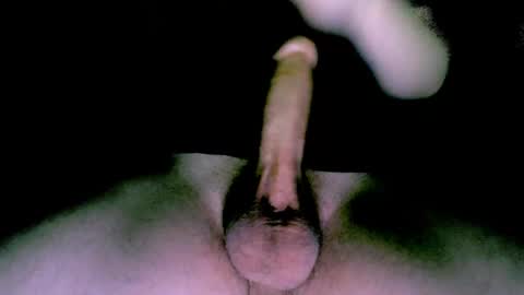 willcox10301 online show from 01.12.25