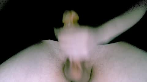 willcox10301 online show from 02.09.25