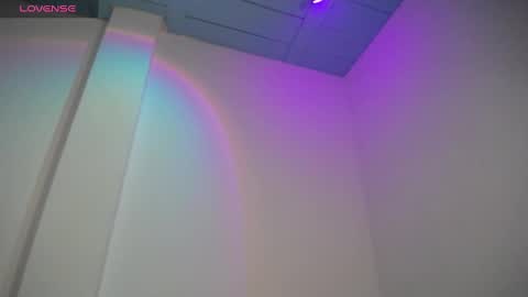 Snapshot of willmonkey chatting on 01.04.25 willmonkey online show from 01.04.25