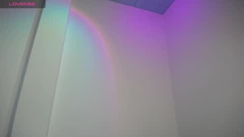 Snapshot of willmonkey chatting on 01.05.25 willmonkey online show from 01.05.25