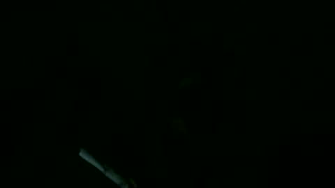 Snapshot of willnedoher chatting on 09.11.25 Willhedoher online show from 09.11.25