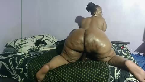 wilmaassylum online show from 01.24.25