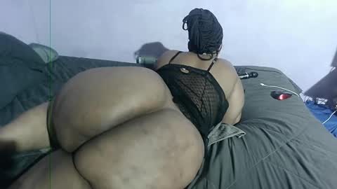 wilmaassylum online show from 01.26.25