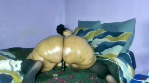 wilmaassylum online show from 02.20.26