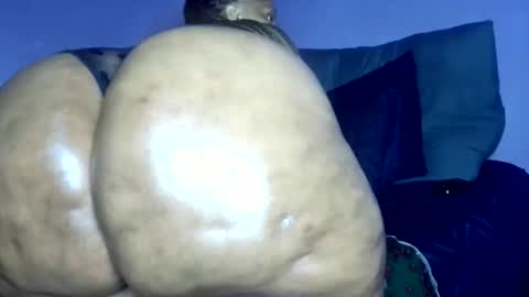 wilmaassylum online show from 03.08.26