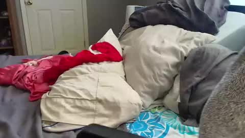 witchbitchmommy online show from 03.18.26