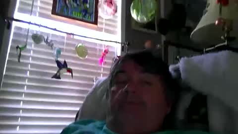 wldlife online show from 05.28.26
