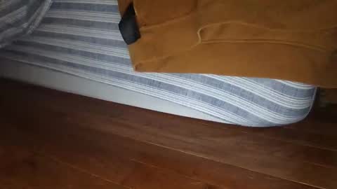 Snapshot of wolfyi chatting on 12.16.24 Sultan Blaze online show from 12.16.24