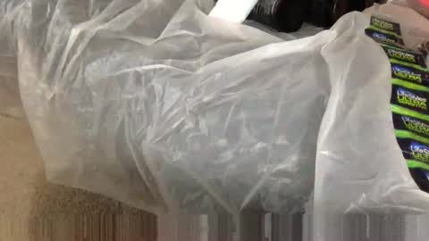 Snapshot of wolfyi chatting on 02.05.25 Sultan Blaze online show from 02.05.25