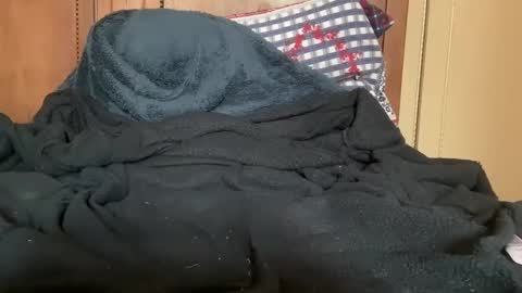 Snapshot of wonkywillywanks chatting on 01.31.25 wonkywillywanks online show from 01.31.25