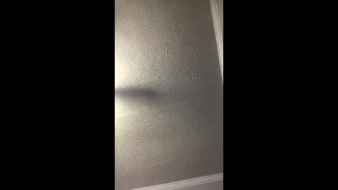 Snapshot of woodpipe69 chatting on 12.23.24 Woodpipe69 online show from 12.23.24