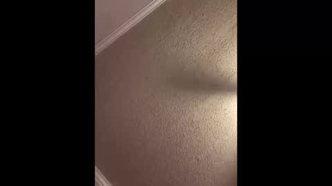 Snapshot of woodpipe69 chatting on 10.03.25 Woodpipe69 online show from 10.03.25