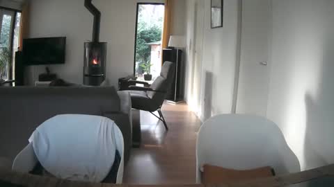 woodwurm and Snoeske online show from 02.19.25