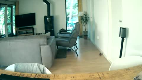 Snapshot of woodwurm chatting on 06.19.26 woodwurm and Snoeske online show from 06.19.26