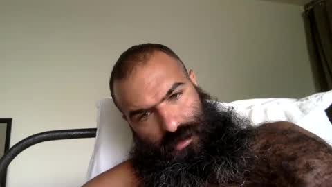 woof_wolf37 online show from 09.11.25