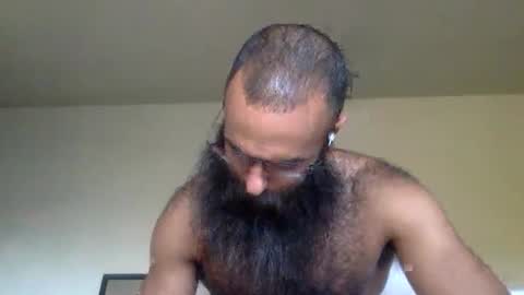 woof_wolf37 online show from 02.08.26