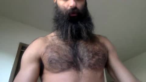 woof_wolf37 online show from 04.15.26