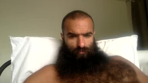 woof_wolf37 online show from 05.12.26