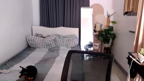 Camilla online show from 01.09.26