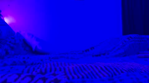 Snapshot of wowsers7 chatting on 11.07.25 wowsers7 online show from 11.07.25