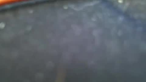 wrangleat0r online show from 01.28.25