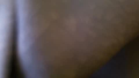 wrangleat0r online show from 04.15.26