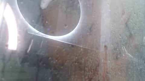 Snapshot of xandressex chatting on 02.03.25 Andres online show from 02.03.25