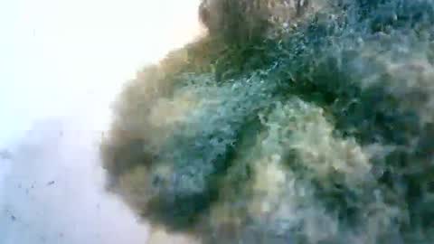 Snapshot of xenna610827 chatting on 02.20.25 xenna610827 online show from 02.20.25